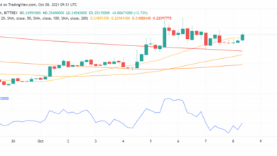 Dogecoin (DOGE) nach leichtem Einbruch wieder auf bullischem Kurs