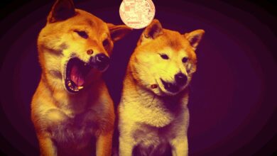 Dogecoin-Konkurrent explodiert um 87% an nur einem Tag, während Bitcoin- und Krypto-Märkte grün werden