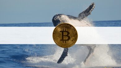 Drittgrößter Bitcoin-Wal kaufte 37 Millionen US-Dollar in BTC