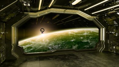 Ein Altcoin übertrifft Solana, Binance Coin, Cardano, Ethereum und Bitcoin in diesem Zyklus, sagt der beliebte Krypto-Analyst
