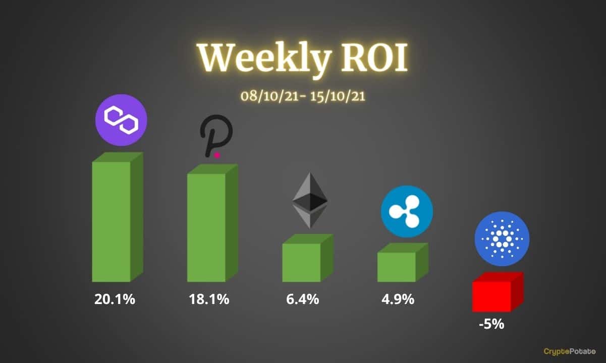 Ethereum, Ripple, Cardano, Polkadot & Matic