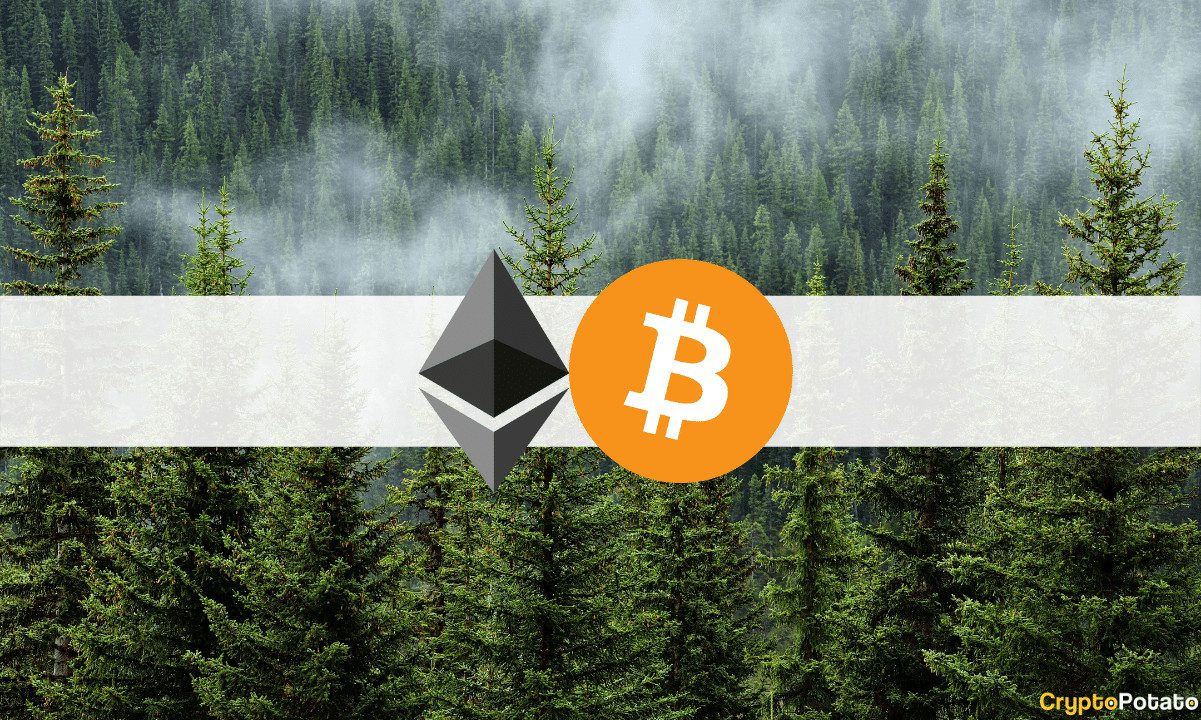 Ethereum Über $4000 (Marktbeobachtung)