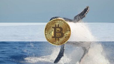 Gewinne realisieren oder Risiken reduzieren? Der drittgrößte Bitcoin-Wal hat gerade 1.500 BTC für 54,3K verkauft
