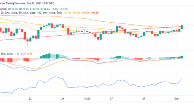 Gute Zeit, Solana (SOL) zu kaufen, da die Bullen zurückkehren