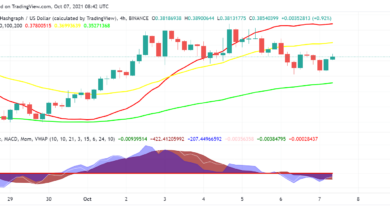 Guter Zeitpunkt, Hedera Hashgraph (HBAR) zu kaufen und zu halten?