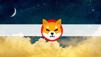 Halbe Größe von Dogecoin