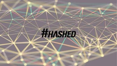 Hashed führt Startup Studio ein, um Metaverse und NFT Space zu erkunden