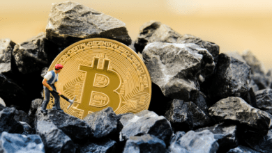 Immersive Kühlung wird der Schlüssel zum grünen Bitcoin-Mining sein: McCook