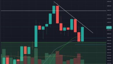 Kann BTC trotz täglichem Abschluss unter wichtiger Unterstützung wieder auf den bullischen Kurs zurückkehren?