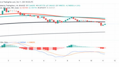 Kann der Anstieg in DeFi TVL-Unterstützung? Avalanche (AVAX) in naher Zukunft?