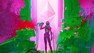 Kryptostratege Michaël van de Poppe gibt Shiba Inu-Warnung heraus, benennt Einreisezonen für Bitcoin und Ethereum