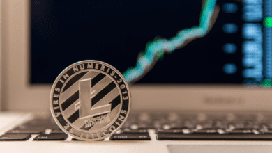Litecoin-Preis, um das 175-Dollar-Niveau erneut zu testen