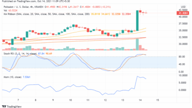 Polkadot (DOT) ist nach der Ankündigung von Parachain-Auktionen immer noch auf dem Vormarsch