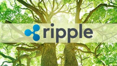 Ripple und Nelnet investieren 44 Mio. USD in CO2-Neutralität