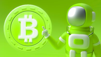 Scharfer Bitcoin-Rückzug nicht vorbei, prognostiziert Krypto-Analyst Michaël van de Poppe – So kann BTC niedrig werden
