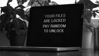 Senator Warren stellt Ransomware Disclosure Act vor