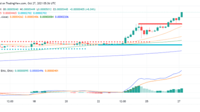 Shiba Inu (SHIB) auf dem Vormarsch trotz Musks Kommentaren: Was passiert?