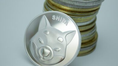 Shiba Inu bleibt über dem Niveau von 0,00007 USD