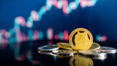Shiba Inu steigt um über 140%, um Dogecoin zu überholen