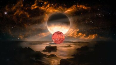 Solana, Avalanche, und zwei weitere Altcoins, die sich auf neue Höchststände einstellen, laut Top-Krypto-Händler