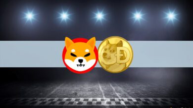 Steigende 18% Flippening zurück Shiba Inu als Top 9