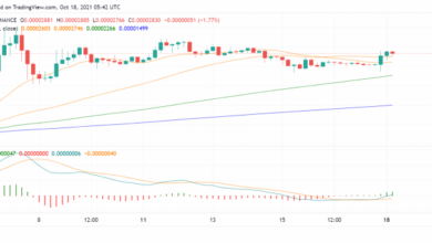 Tweets von Elon Musk unterstützen Fresh Rally in Shiba Inu (SHIB)