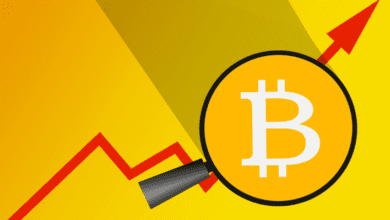 Verpackte Bitcoin (WBTC) Anstiege (4%). Beginnt Bitcoin zurückzuprallen?