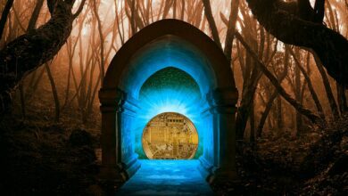 Vier Altcoins werden Bitcoin folgen und Ethereum's leistungsstarke Adoptionskurven prognostizieren Makro-Guru Raoul Pal