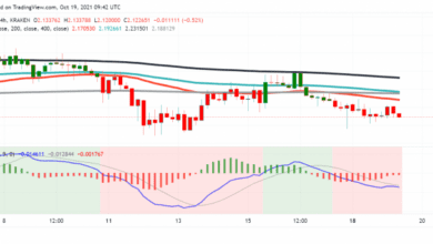 Warum kämpft Cardano (ADA) trotz hohem Investoreninteresse immer noch?