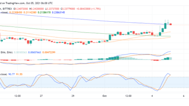 Warum sammelt sich Dogecoin (DOGE) heute?