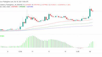 Warum steigen Stapel (STX) heute um über 20 %?
