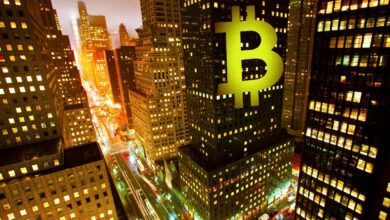 Warum steigt Bitcoin? Brian Kelly von CNBC sagt, dass zwei Makrokatalysatoren die jüngste Rallye von BTC antreiben