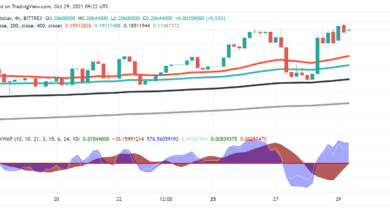 Warum wir Crypto.com Coin im Auge behalten sollten