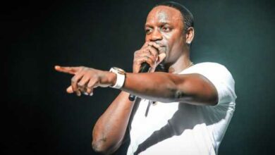 Was geschah mit den Stadtentwicklungen von Akon