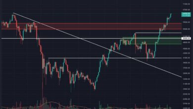 Was ist nach einem neuen ATH für BTC zu erwarten?