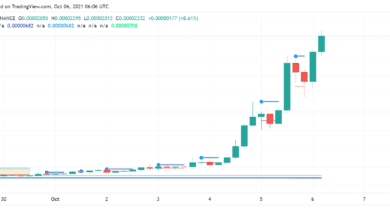 Was treibt die Rallye in Shiba Inu (SHIB) an?