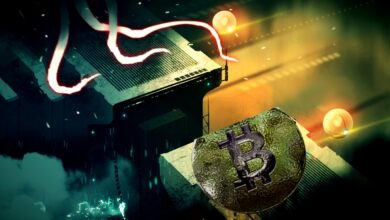 Whistleblower Edward Snowden sagt, das Krypto-Verbot in China habe Bitcoin nur stärker gemacht