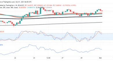 Wie wird sich das Columbus-5-Upgrade auf die LUNA von Terra auswirken?