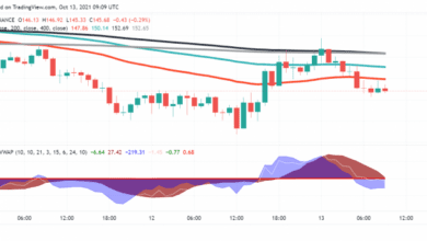 Wird die Listung von eToro zu Aufwärtsbewegungen in Solana (SOL) führen?