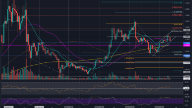 XRP rutscht unter 50-Tage-MA, kommt 1 $?