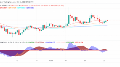 Zu spät zur Party: Wird Dogecoin (DOGE) bald aufsteigen und glänzen?