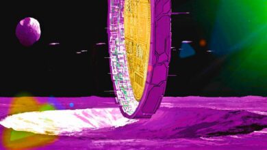 „Geheimer“ Krypto-Asset übertrifft Bitcoin bei weitem und Ethereum, übertrifft die Marktkapitalisierung von 1.000.000.000 USD mit massiver 7-Tage-Rallye