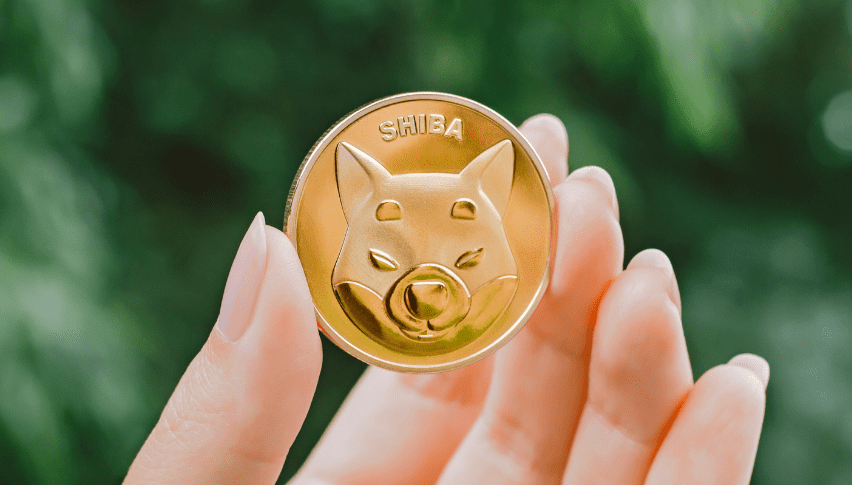 Shiba Inu Coin Forecast – SHIB/USD nähert sich dem Kaufbereich