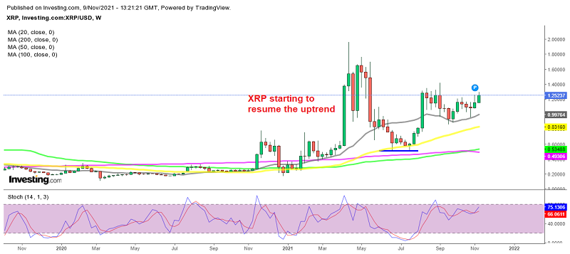 Ripple, Terra LUNA Preisvorhersage – Bullisches Chartmuster in XRP und LUNA/USD