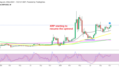 Ripple, Terra LUNA Preisvorhersage – Bullisches Chartmuster in XRP und LUNA/USD