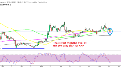 Ripple (XRP) und Terra LUNA Coin bereiten sich darauf vor, höher umzukehren