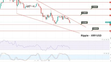 Ripple Sinkt auf 1,0409 $ trotz XLS-20-Standard von XRPL