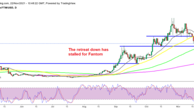 Ist es ein guter Zeitpunkt, Fantom (FTM) Crypto und Polkadot (DOT) zu kaufen?