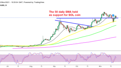 Solana (SOL), Binance (BNB) – Sieht nach dem Rückzug immer noch bullisch aus
