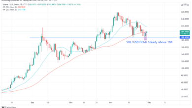 Wird Solana (SOL/USD) im Begriff, bullisch zu werden? Signalform auf Schlüsselebene
